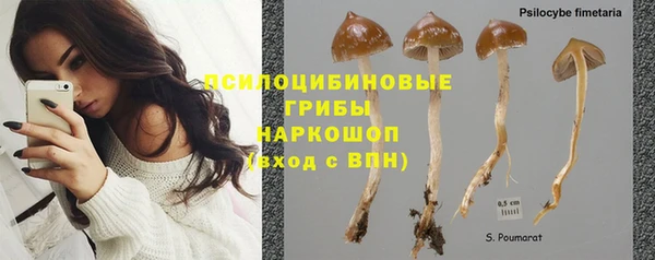 ГАЛЛЮЦИНОГЕННЫЕ ГРИБЫ Абинск