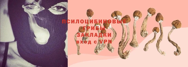 спиды Алексин